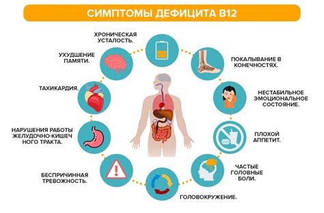 Влияние дефицита в12 на женское здоровье