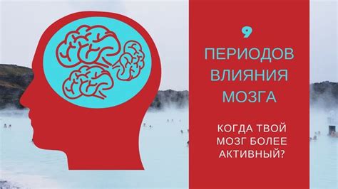 Влияние естественнонаучной грамотности на повседневную жизнь