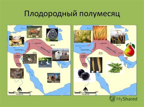 Влияние земледелия на развитие человеческой цивилизации