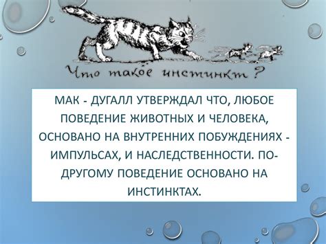 Влияние инстинктов на формирование социального поведения