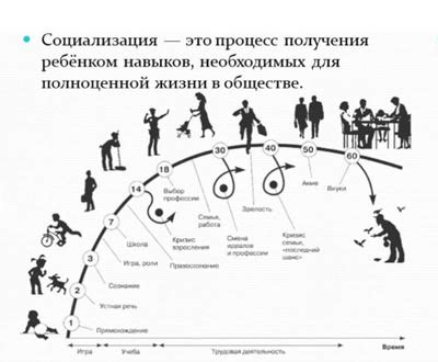 Влияние и значение вождя для общества