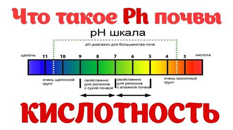 Влияние климата на кислотность или щелочность почвы