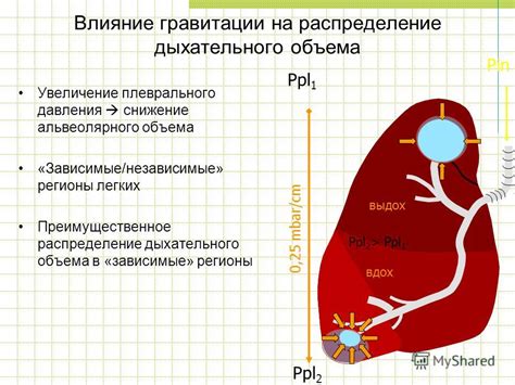 Влияние линии давления на качество дыхательного процесса