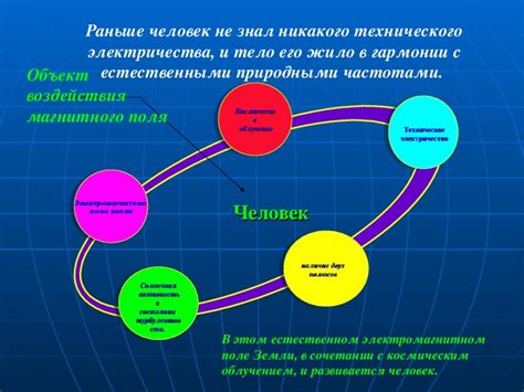 Влияние магнитного поля на живые организмы