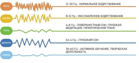 Влияние мозговой активности на выделение окситоцина