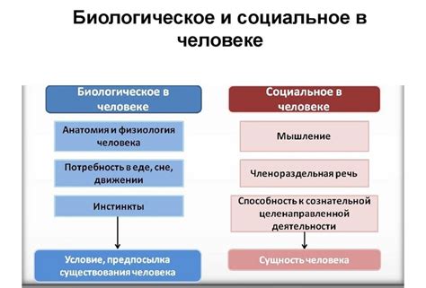 Влияние наследственности на биологические свойства человека