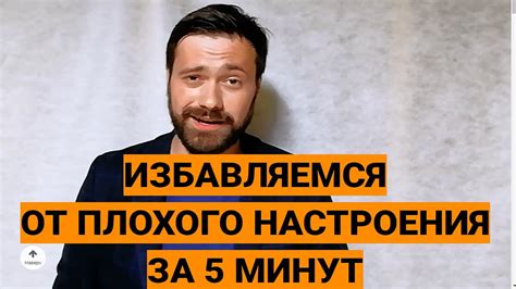 Влияние настроения хозяина