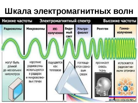 Влияние на здоровье и функционирование организма