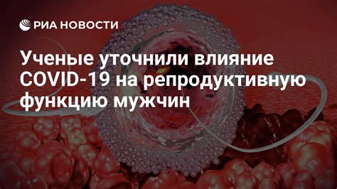 Влияние на репродуктивную функцию