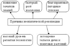 Влияние неолитической революции на социальную структуру и образ жизни