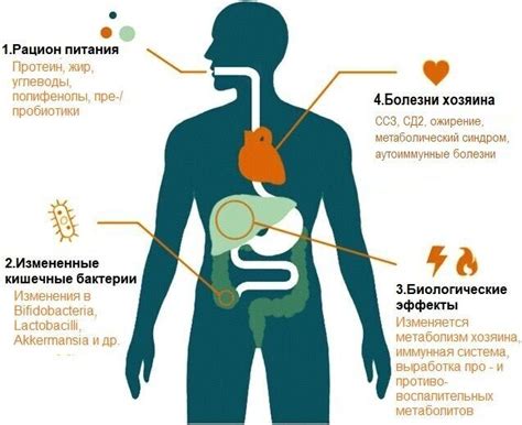 Влияние неправильной диеты на здоровье