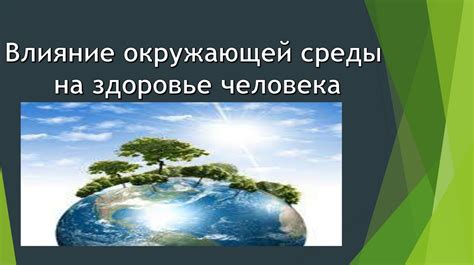 Влияние окружающей среды на идеальную и реальную формы развития