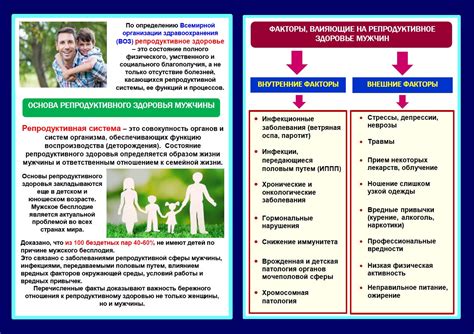 Влияние плоского затылока на здоровье мужчин