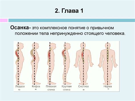 Влияние положения ног на позвоночник и спину