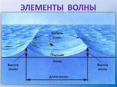 Влияние приливов морской воды