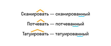 Влияние приставки "анти" на значение слова