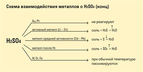 Влияние присутствия ионов металлов на реакцию серной кислоты