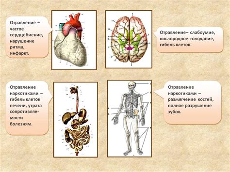 Влияние проглатывания соплей на организм