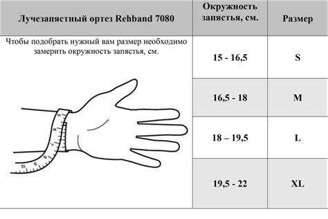 Влияние размера запястья на общую внешность