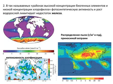 Влияние света на переход водорослей