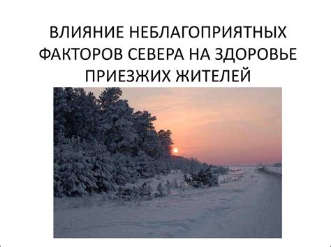 Влияние севера на повседневность