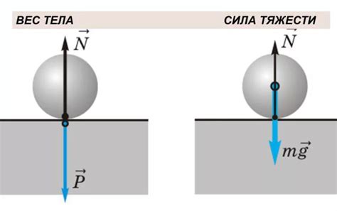 Влияние силы тяжести на движение тела
