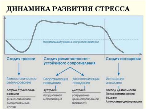 Влияние стресса на биоэлектрическую активность