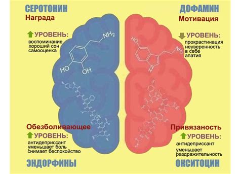 Влияние стресса на уровень дофамина