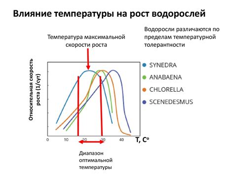 Влияние температуры на молекулы