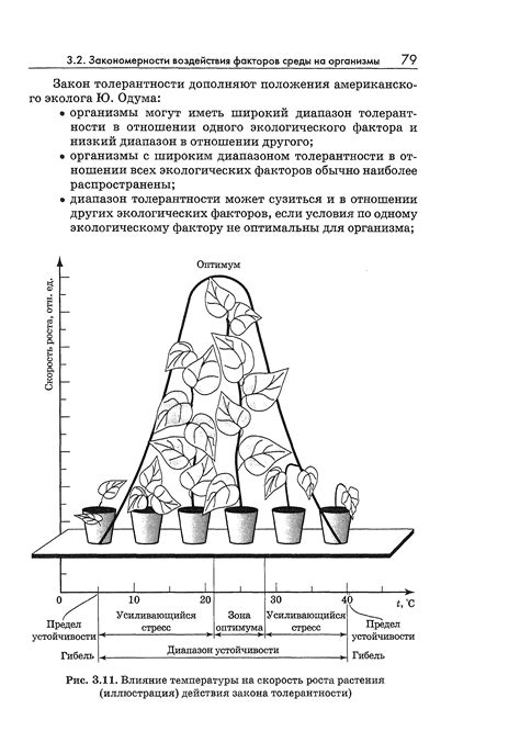 Влияние температуры на сохранность базилика