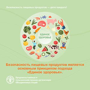 Влияние технолога на качество и безопасность пищевых продуктов