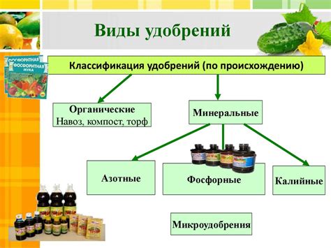 Влияние углеводов на рост и развитие