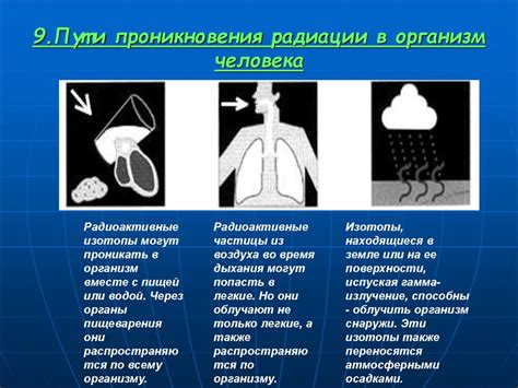 Влияние факторов окружающей среды на появление складки