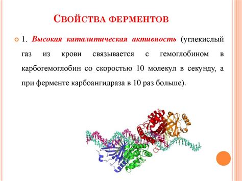 Влияние ферментов на состав ремувера