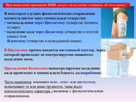 Влияние физиологических факторов на потребность в сладком