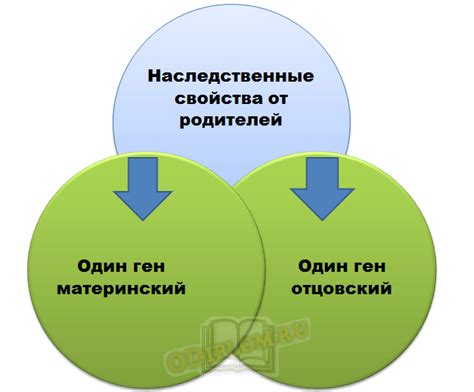 Влияние частоты семяизвержений на общее состояние здоровья