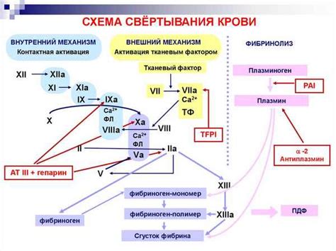 Внешние факторы и свертываемость крови