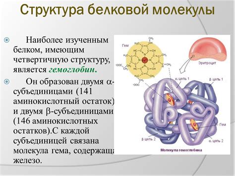 Внешний вид и структура