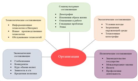 Внешняя среда организма: роль и значение