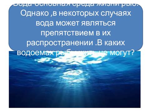 Вода - основная среда движения