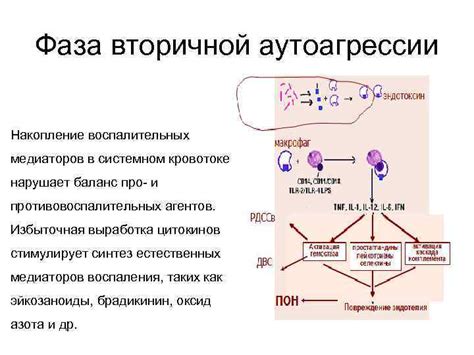 Воздействие воспалительных медиаторов