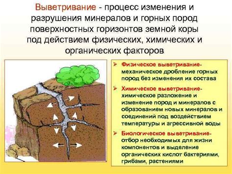 Воздействие геологических процессов на формирование почв