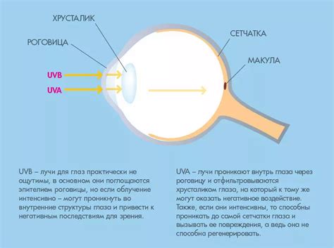 Воздействие ксилена на глаза