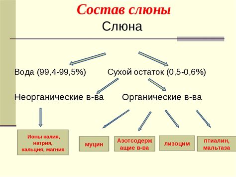 Воздействие микроорганизмов на состав слюны