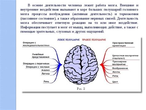 Воздействие на деятельность мозга