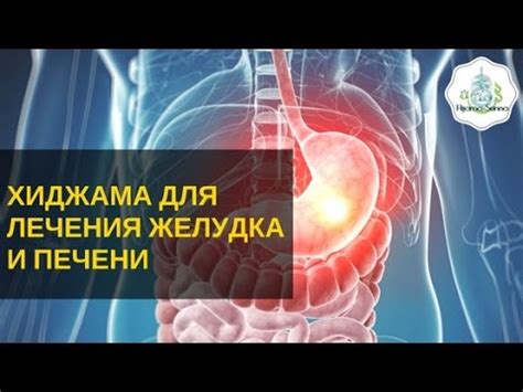 Воздействие на пищеварительную систему и негативные последствия