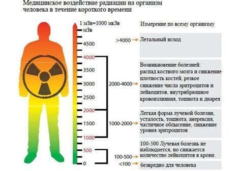 Воздействие радиации на плодность и размножение человека