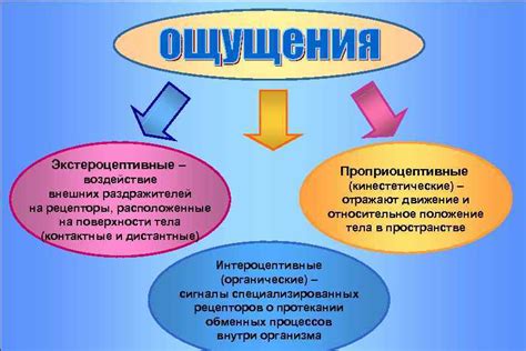 Воздействие раздражителей