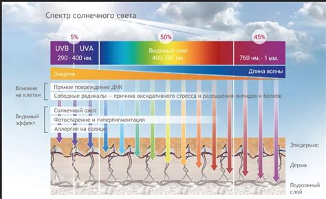 Воздействие ультрафиолетовых лучей
