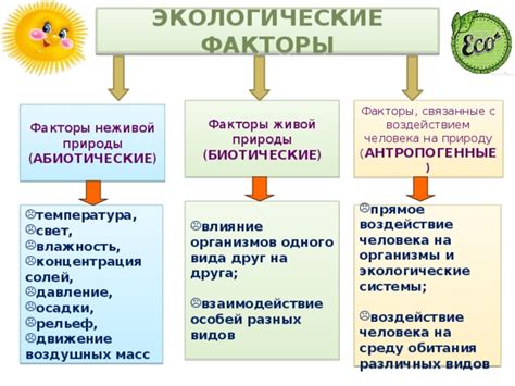 Воздействующие факторы